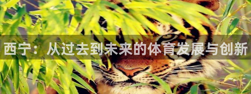 意昂4开户：西宁：从过去到未来的体育发展与创新