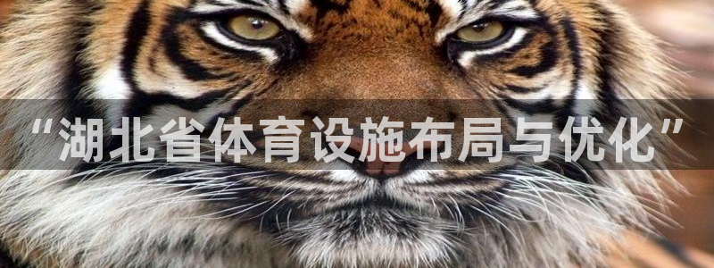 意昂体育4招商电话号码：“湖北省体育设施布局与优化”