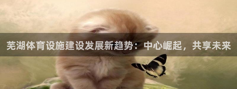 意昂4娱乐下载：芜湖体育设施建设发展新趋势：中心崛起