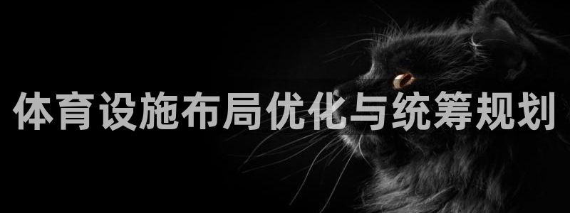 意昂体育4平台注册：体育设施布局优化与统筹规划