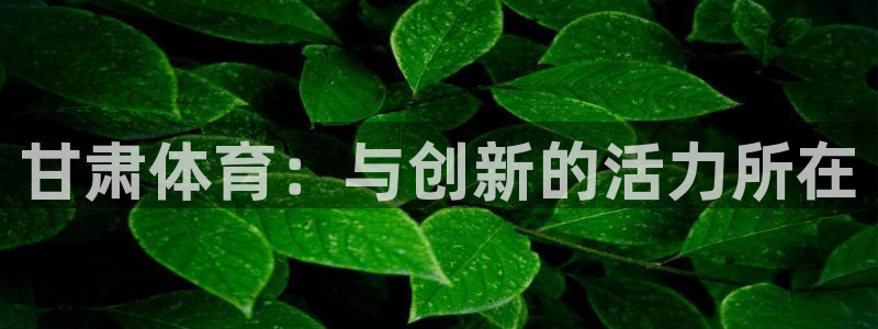 海南意昂体育4：甘肃体育：与创新的活力所在